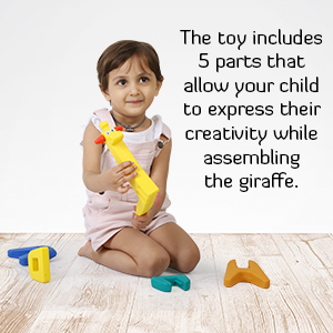 This is an ideal toy that comes in disassembled pieces and can be easily assembled